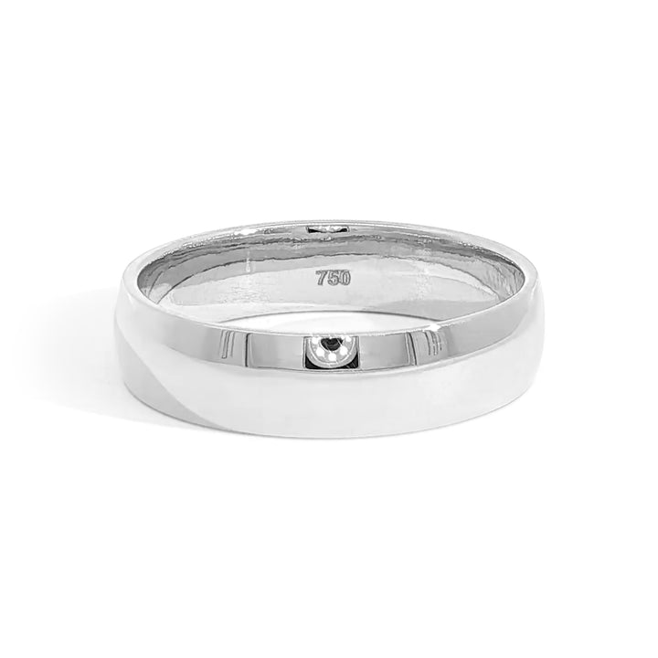 Standard Polished Band