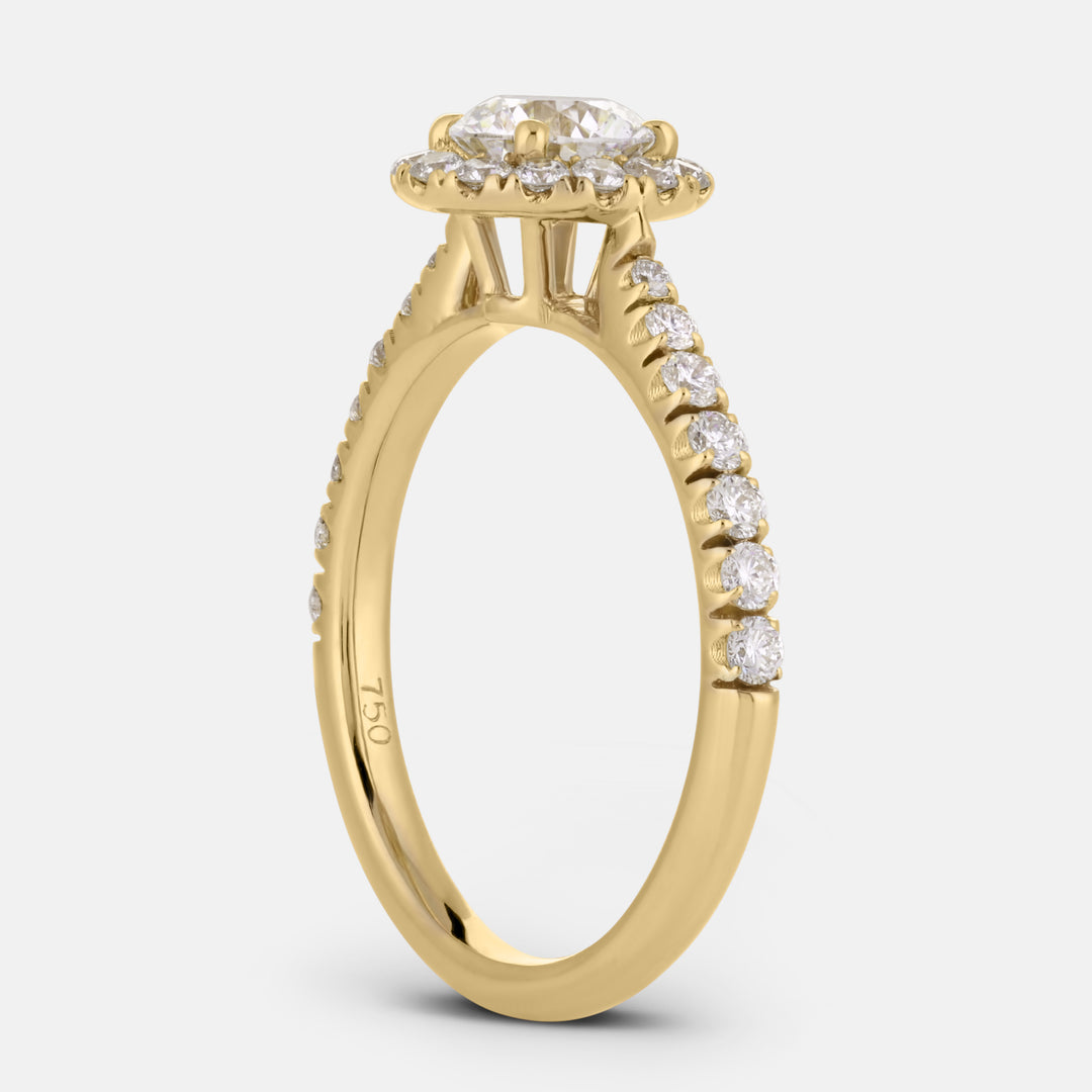 Elizabeth Round w/ Halo Engagement Ring