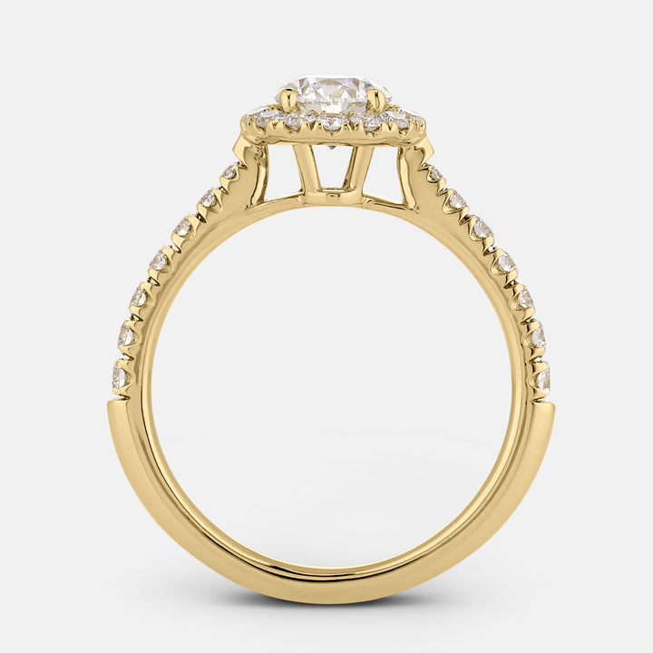 Elizabeth Round w/ Halo Engagement Ring