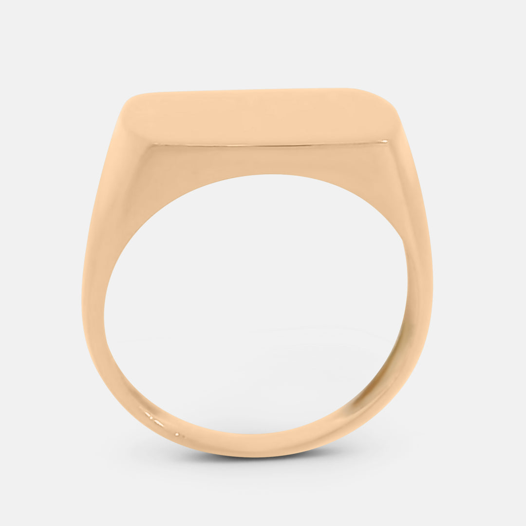 Polished Flat Rectangle Signet Ring