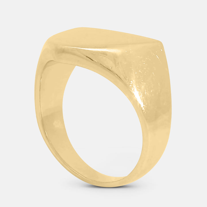 Tri Solid Signet Ring